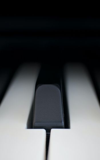 Обои 1200x1920 клавиши пианино, музыкальный инструмент, минимализм