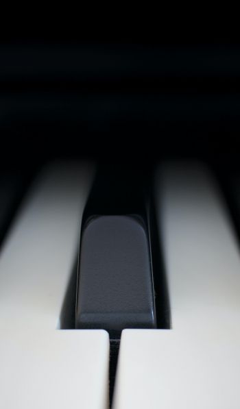 Обои 600x1024 клавиши пианино, музыкальный инструмент, минимализм