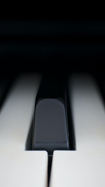 Обои 640x1136 клавиши пианино, музыкальный инструмент, минимализм