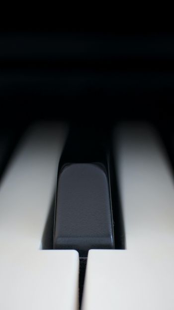 Обои 720x1280 клавиши пианино, музыкальный инструмент, минимализм