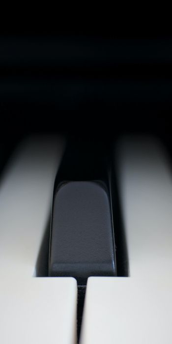 Обои 720x1440 клавиши пианино, музыкальный инструмент, минимализм