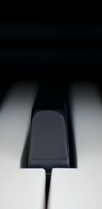Обои 1080x2220 клавиши пианино, музыкальный инструмент, минимализм