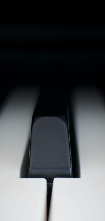 Обои 1080x2280 клавиши пианино, музыкальный инструмент, минимализм