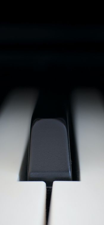 Обои 1170x2532 клавиши пианино, музыкальный инструмент, минимализм