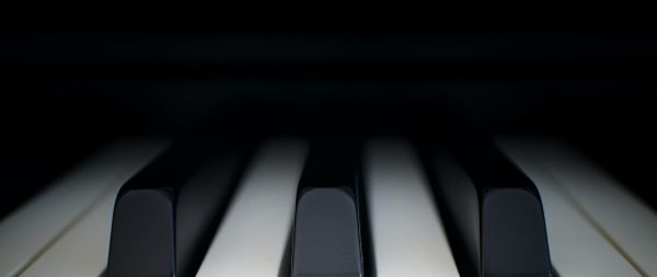 piano keys, musical instrument, minimalism Wallpaper 2560x1080