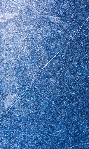 ice, pattern, blue Wallpaper 1200x2000