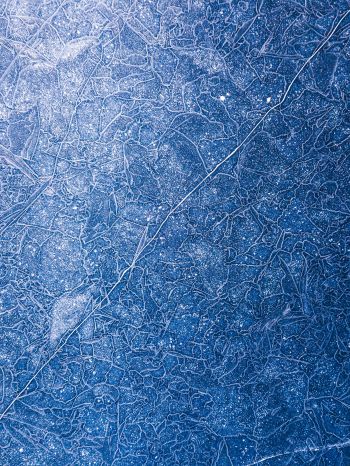 ice, pattern, blue Wallpaper 2048x2732