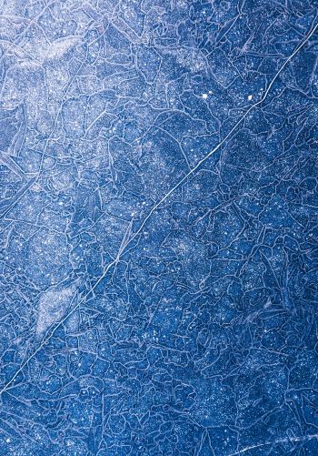 ice, pattern, blue Wallpaper 1668x2388