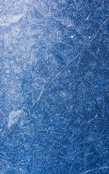 ice, pattern, blue Wallpaper 1752x2800