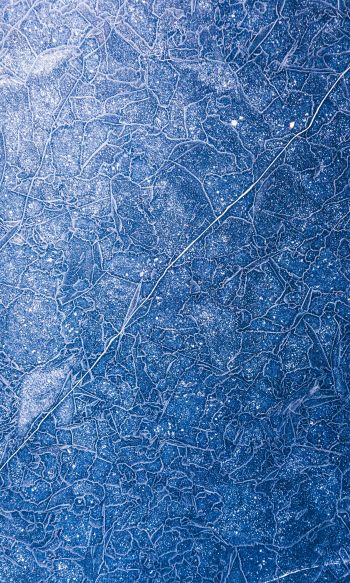 ice, pattern, blue Wallpaper 1200x2000