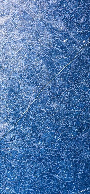 ice, pattern, blue Wallpaper 1284x2778