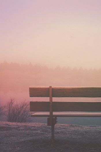 bench, loneliness, minimalism Wallpaper 640x960