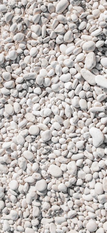 stones, pebbles, white Wallpaper 1170x2532