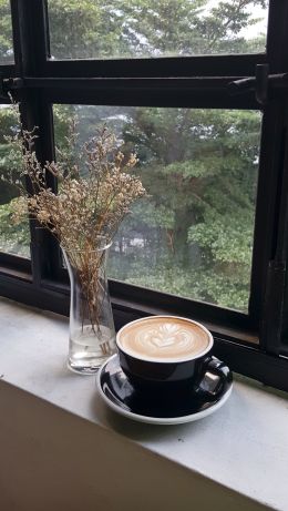 cappuccino, coffee cup, morning Wallpaper 640x1136