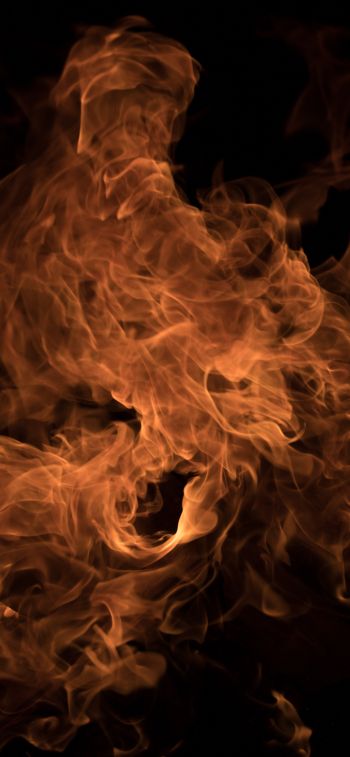 fire, flame, campfire Wallpaper 828x1792