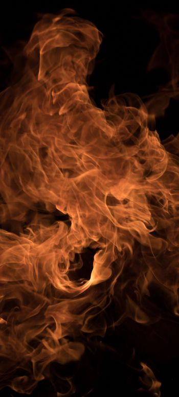 fire, flame, campfire Wallpaper 1440x3200