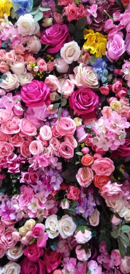 roses, rose bouquet Wallpaper 1080x2280