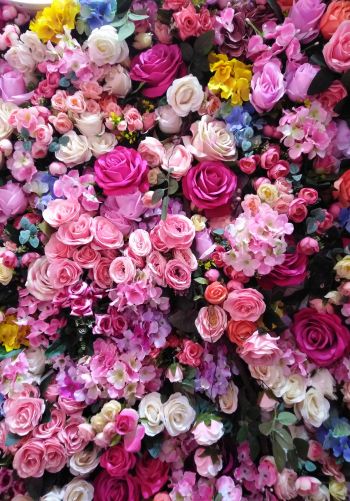 roses, rose bouquet Wallpaper 1668x2388