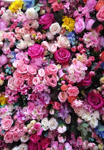 roses, rose bouquet Wallpaper 1640x2360
