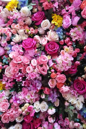 roses, rose bouquet Wallpaper 640x960