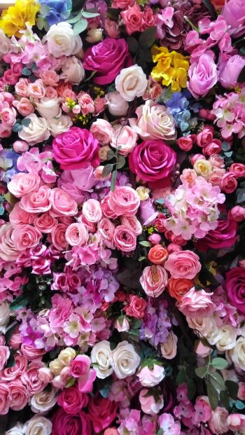 roses, rose bouquet Wallpaper 640x1136