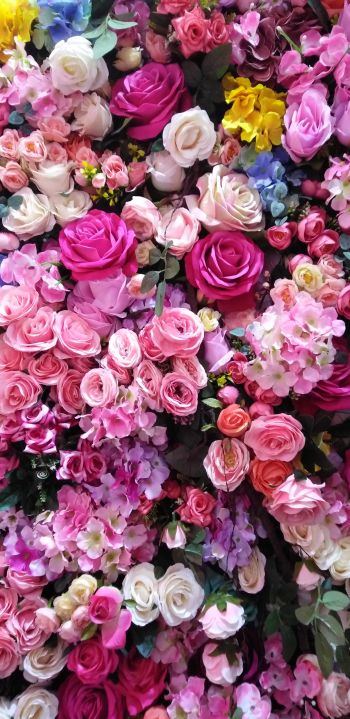 roses, rose bouquet Wallpaper 1080x2220