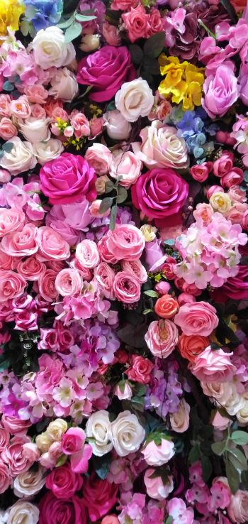 roses, rose bouquet Wallpaper 1080x2280