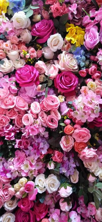 roses, rose bouquet Wallpaper 1242x2688