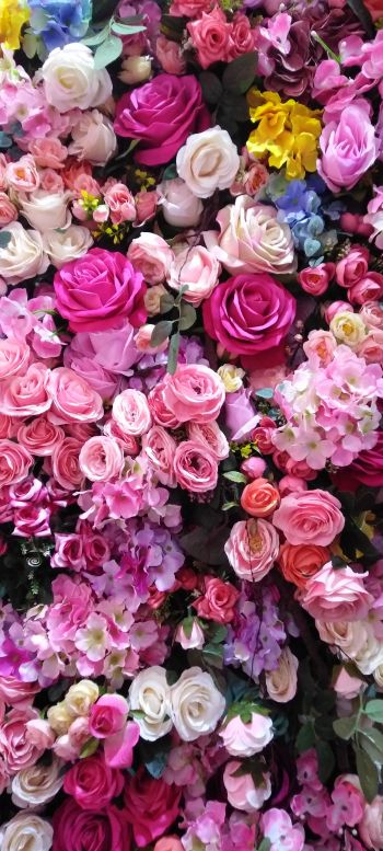 roses, rose bouquet Wallpaper 1080x2400