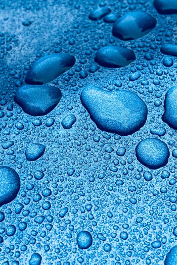 drops, blue, macro Wallpaper 640x960