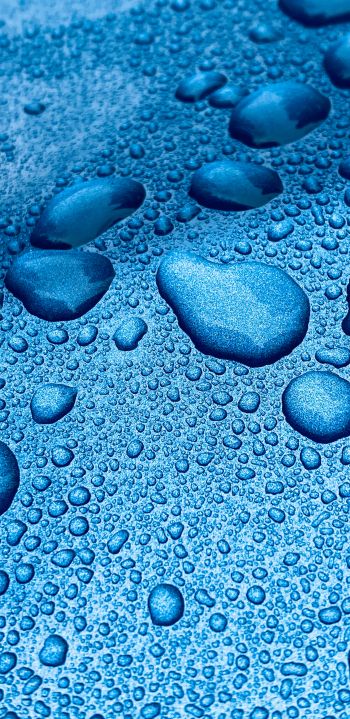 drops, blue, macro Wallpaper 1440x2960