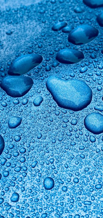 drops, blue, macro Wallpaper 1080x2280