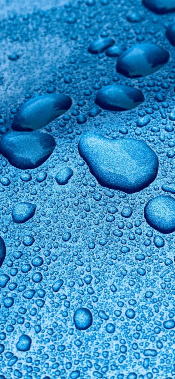 drops, blue, macro Wallpaper 828x1792