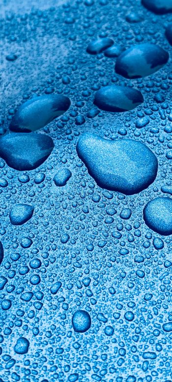 drops, blue, macro Wallpaper 720x1600
