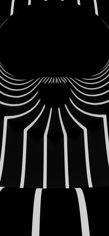 black and white, abstraction, stripes Wallpaper 828x1792