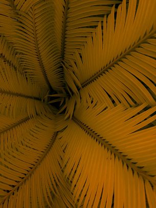 fern, yellow, leaves Wallpaper 1668x2224