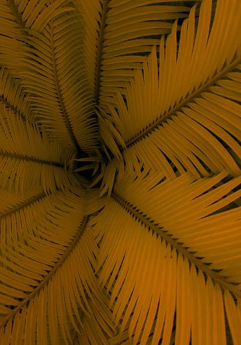 fern, yellow, leaves Wallpaper 1668x2388