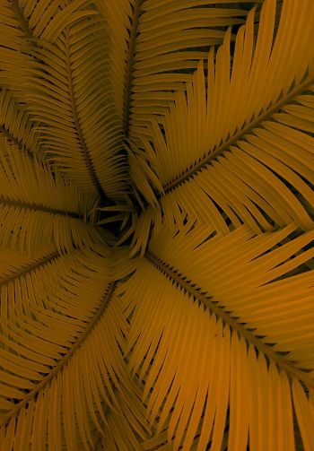 fern, yellow, leaves Wallpaper 1640x2360
