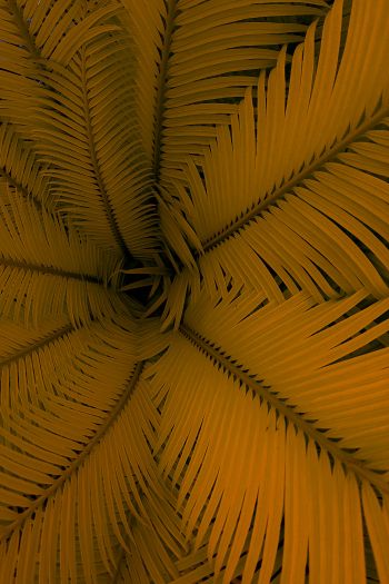 fern, yellow, leaves Wallpaper 640x960