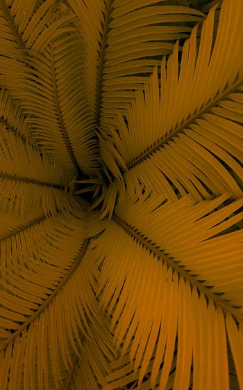 fern, yellow, leaves Wallpaper 800x1280