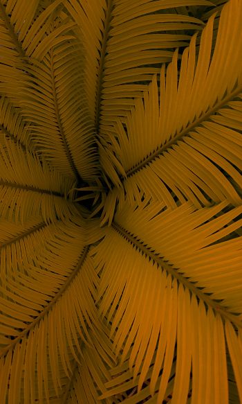 fern, yellow, leaves Wallpaper 1200x2000