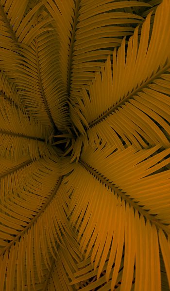 fern, yellow, leaves Wallpaper 600x1024