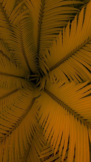 fern, yellow, leaves Wallpaper 640x1136