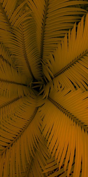 fern, yellow, leaves Wallpaper 720x1440