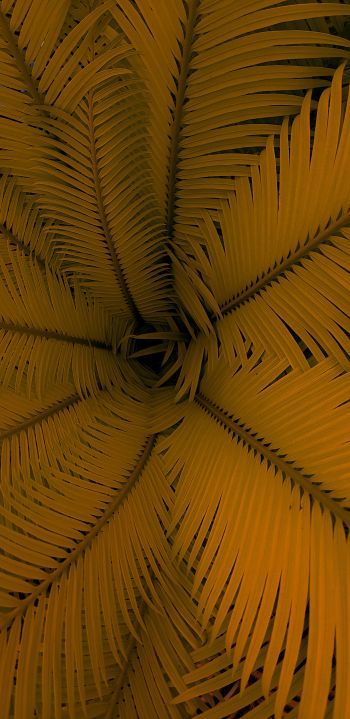 fern, yellow, leaves Wallpaper 1080x2220