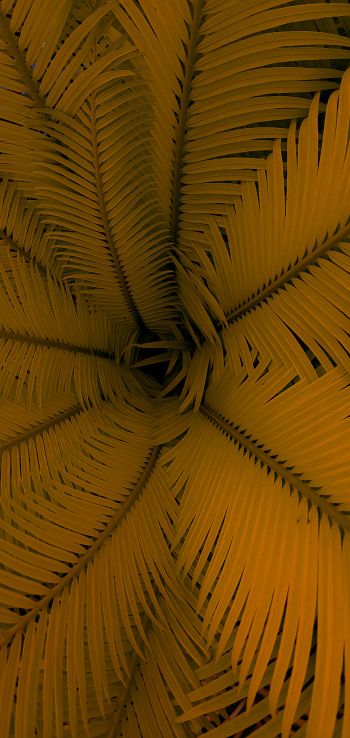 fern, yellow, leaves Wallpaper 720x1520