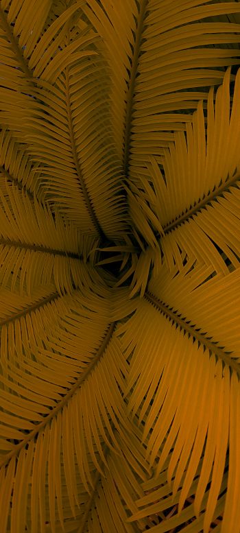 fern, yellow, leaves Wallpaper 1440x3200