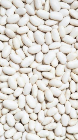 white beans, seeds, light Wallpaper 1080x1920