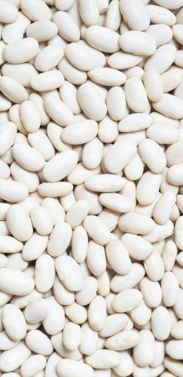 white beans, seeds, light Wallpaper 1080x2220