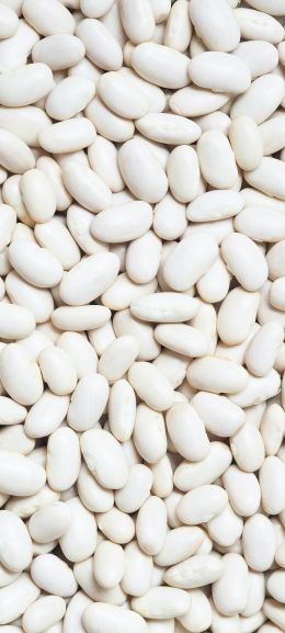 white beans, seeds, light Wallpaper 720x1600